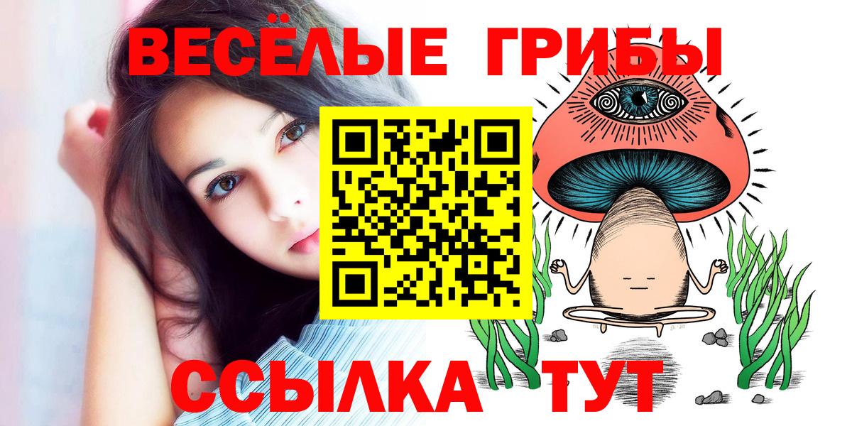 Галлюциногенные грибы Psilocybe  Вход с VPN  Галлюциногенные грибы Psilocybine cubensis  Тверь 