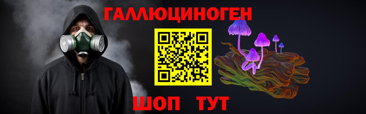 Псилоцибиновые грибы мухоморы Тверь